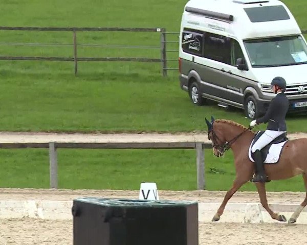 Reitturnier Gut Bohmerhof/Obb. 2023