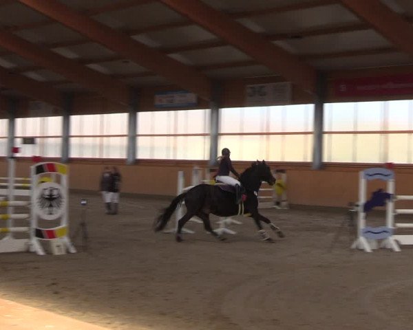 Reitturnier Polzow 2021