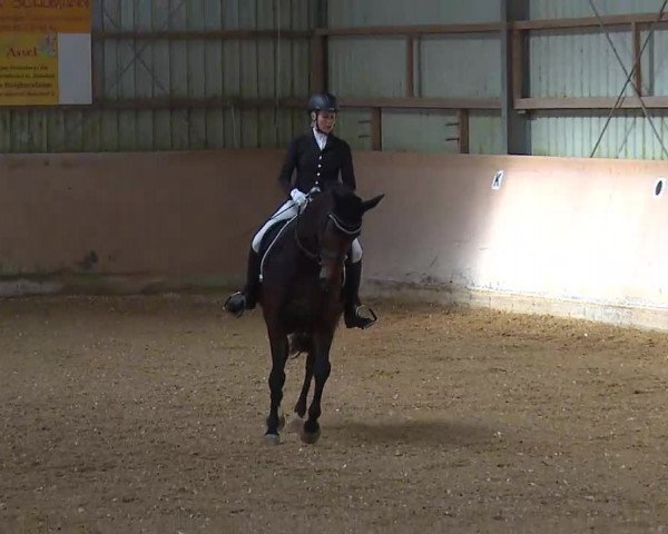 Bad Windsheimer Reitertage 2021