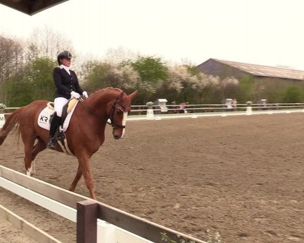 Reitturnier Kleinsolt 2023