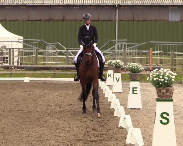 Reitturnier Kleinsolt 2023