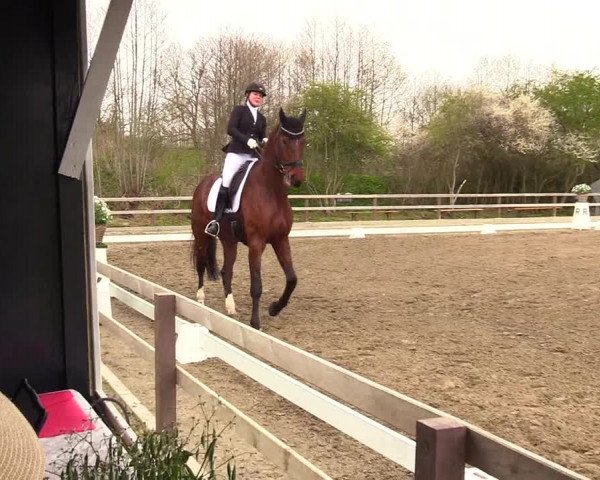 Reitturnier Kleinsolt 2023