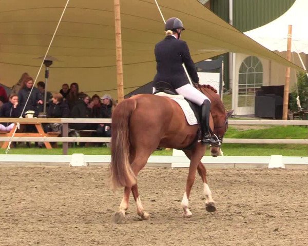 Reitturnier Kleinsolt 2023
