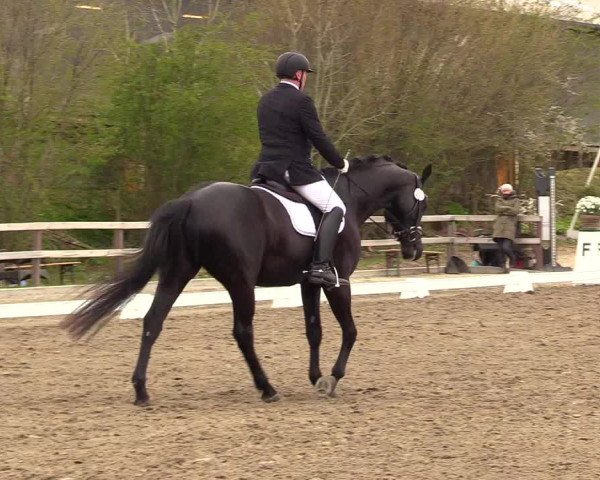 Reitturnier Kleinsolt 2023