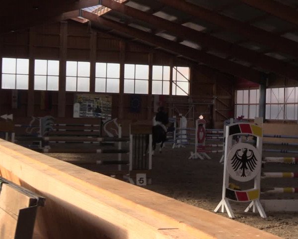 Reitturnier Polzow 2021