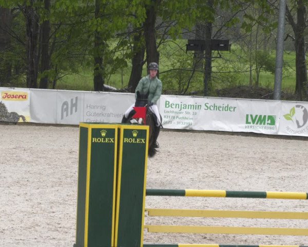 Reitturnier Karlsfeld 2023