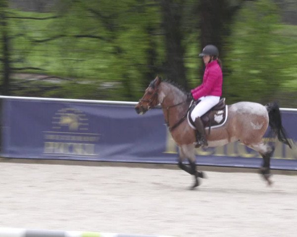 Reitturnier Karlsfeld 2023