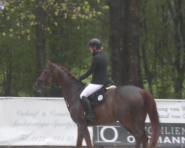 Reitturnier Karlsfeld 2023