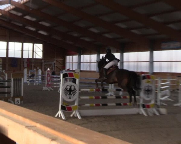 Reitturnier Polzow 2021