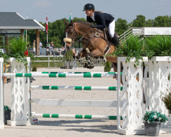 jumper Forever (KWPN (Royal Dutch Sporthorse), 2010, from Tangelo van de Zuuthoeve)