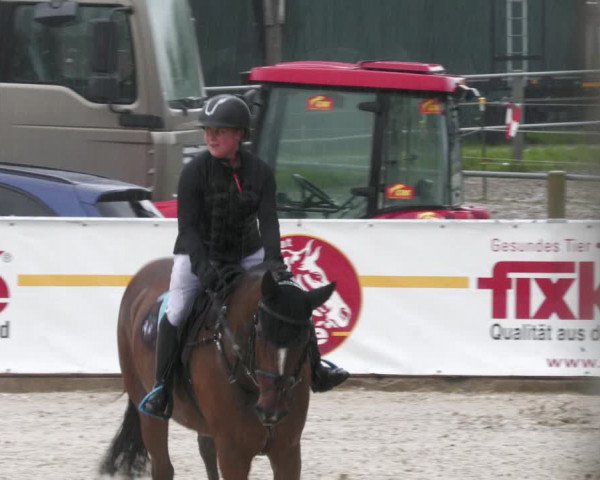 Reitturnier Karlsfeld 2023