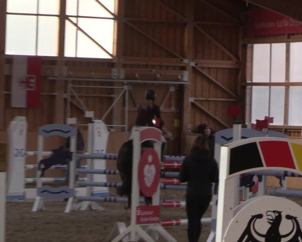 Reitturnier Polzow 2021