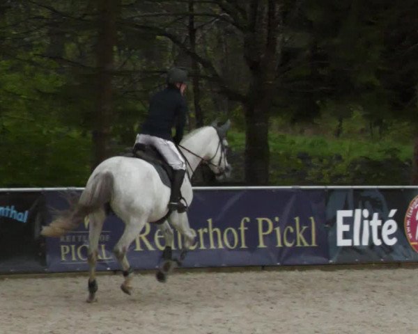 Reitturnier Karlsfeld 2023