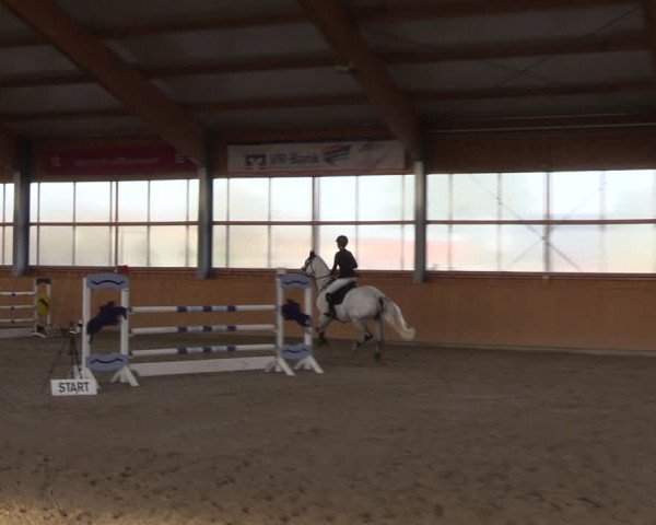 Reitturnier Polzow 2021