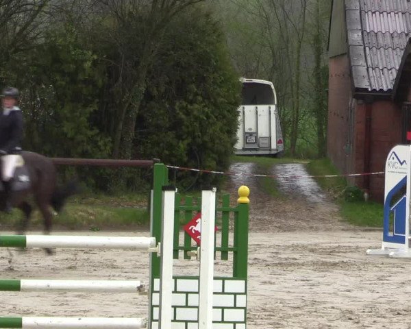 Reitturnier Havixbeck 2023