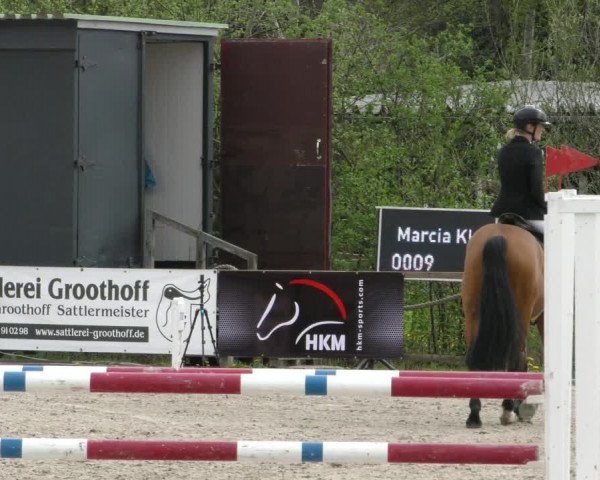 Reitturnier Handorf 2023