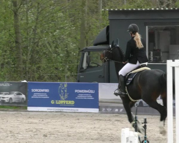 Reitturnier Handorf 2023