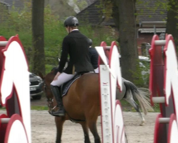 Reitturnier Handorf 2023