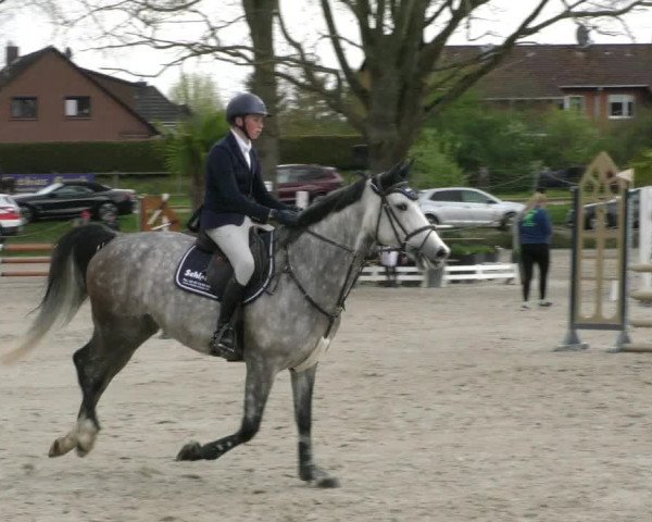 Reitturnier Handorf 2023