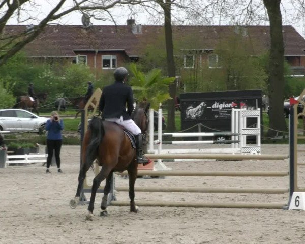Reitturnier Handorf 2023
