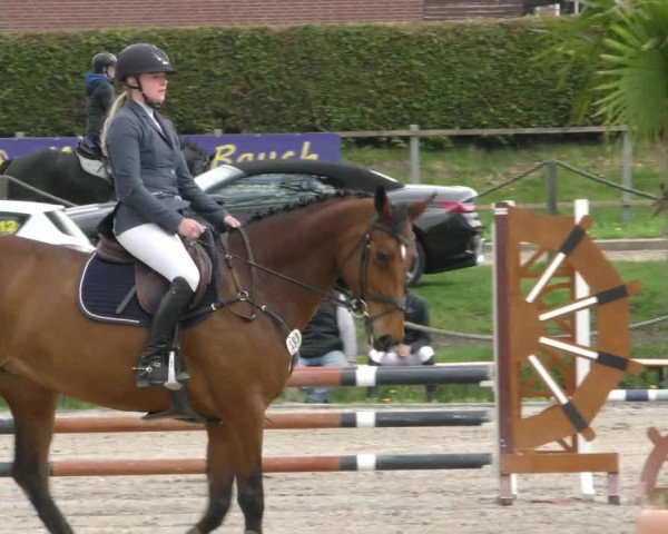 Reitturnier Handorf 2023