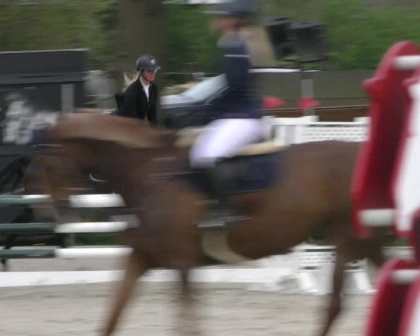 Reitturnier Handorf 2023