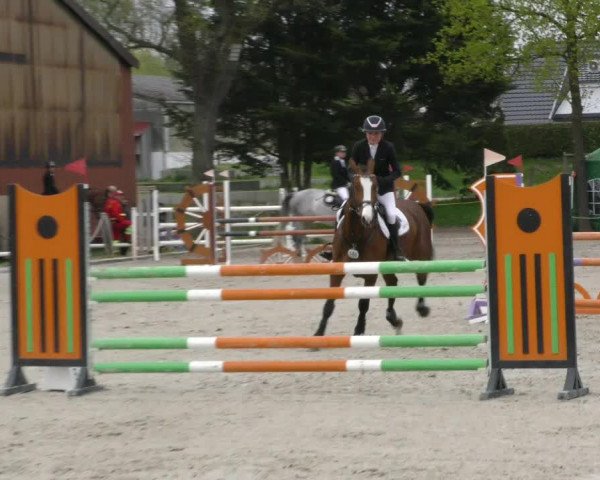 Reitturnier Handorf 2023