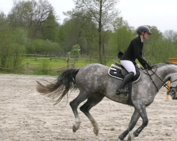 Reitturnier Handorf 2023