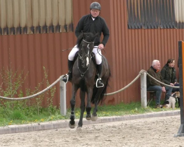 Reitturnier Handorf 2023