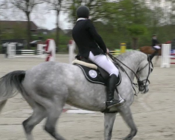 Reitturnier Handorf 2023