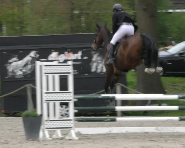 Reitturnier Handorf 2023