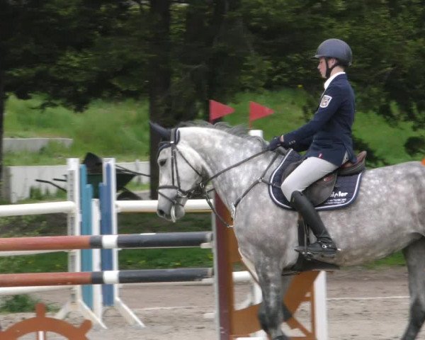 Reitturnier Handorf 2023