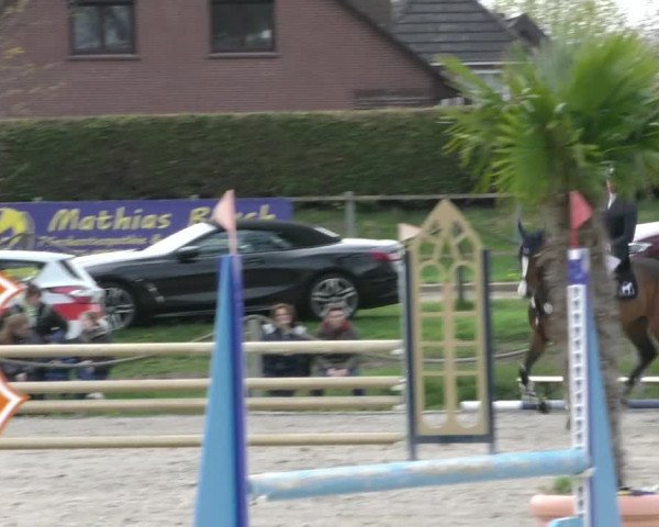 Reitturnier Handorf 2023