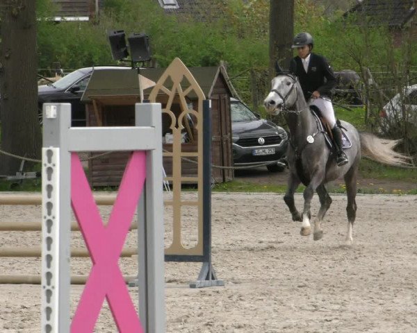 Reitturnier Handorf 2023