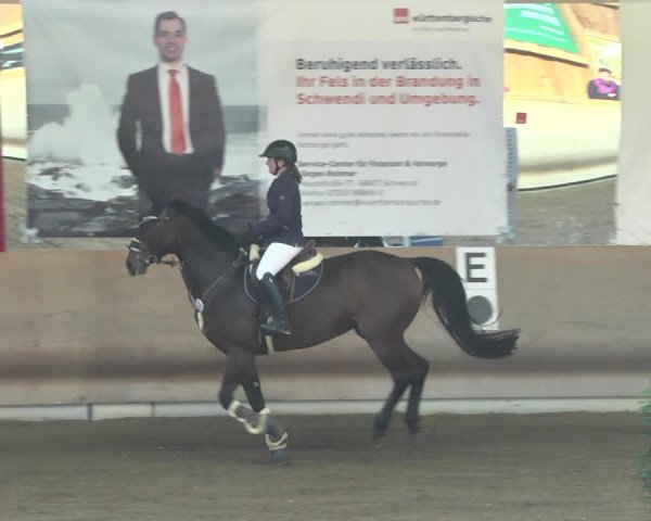 Reitturnier Schwendi 2021