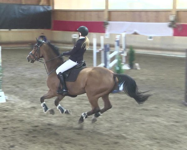 Reitturnier Schwendi 2021