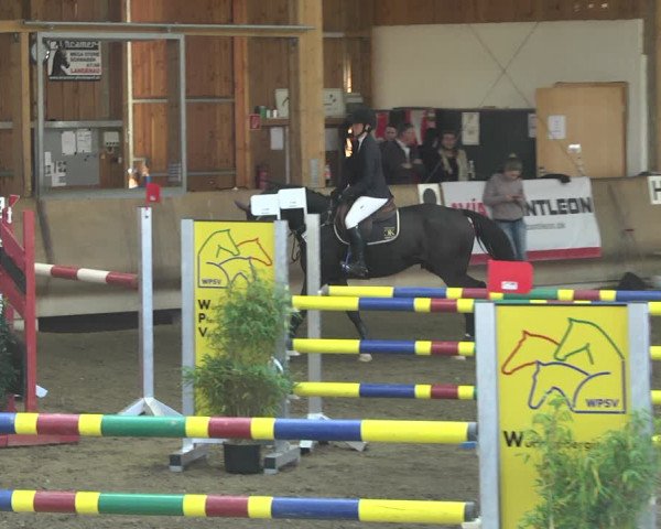 Reitturnier Schwendi 2021