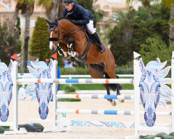 stallion For The Future (Westphalian, 2016, from For Pleasure)