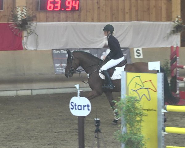Reitturnier Schwendi 2021