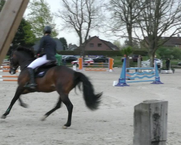 Reitturnier Handorf 2023