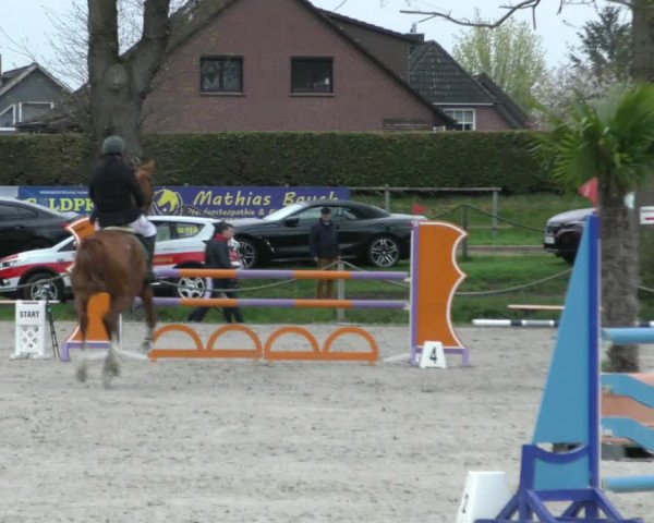 Reitturnier Handorf 2023
