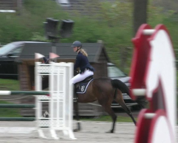 Reitturnier Handorf 2023