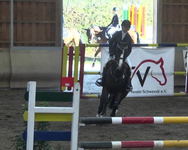Reitturnier Schwendi 2021