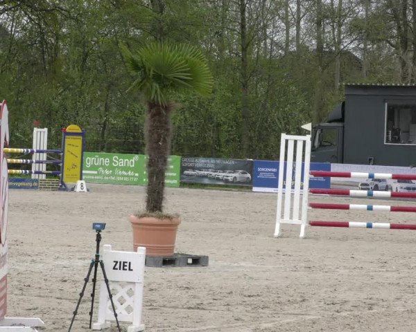 Reitturnier Handorf 2023