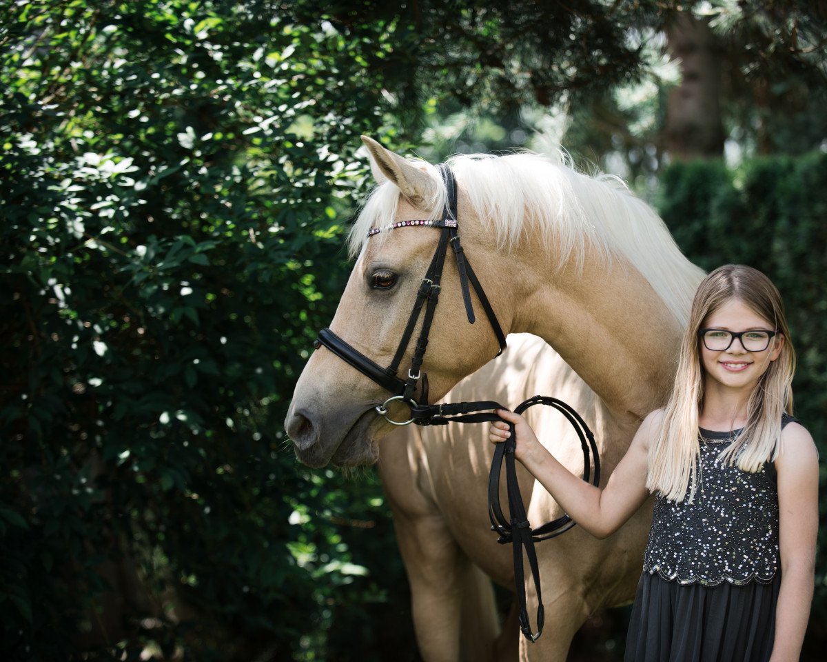 Springpferd Perlkönig's Highlight (Deutsches Reitpony, 2014, von FL Perlkönig)
