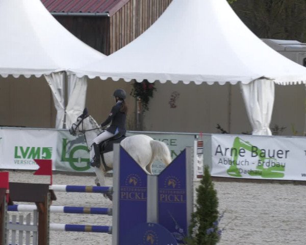 Reitturnier Karlsfeld 2023