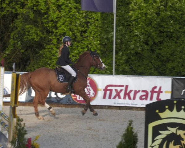 Reitturnier Karlsfeld 2023