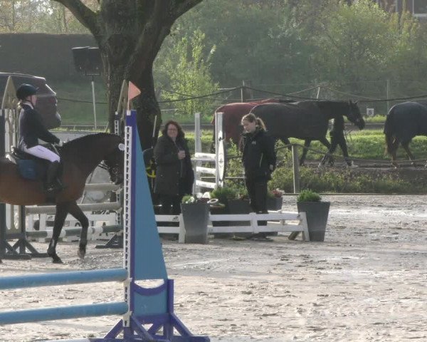 Reitturnier Handorf 2023
