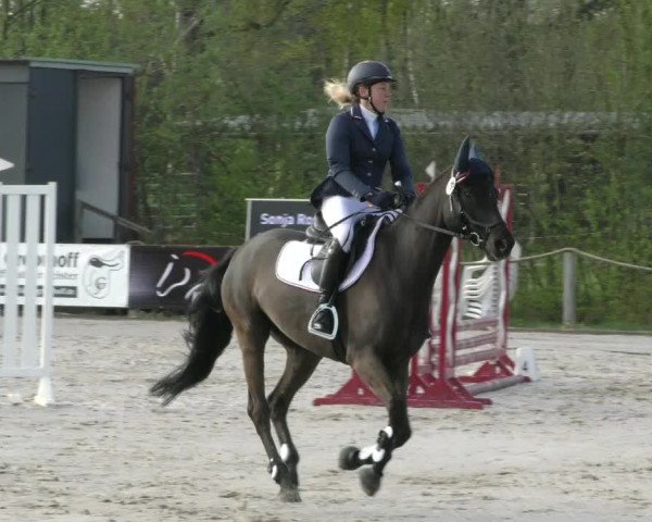 Reitturnier Handorf 2023