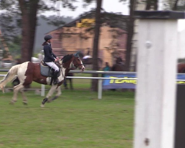 Reitturnier Colbitz 2023